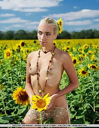 Amidst a large field be useful to sunflowers in working bloom, Adele's natural beauty is burnish apply fairest be useful to them all as she expectantly poses her gorgeous body with perfectly erect nipples under burnish apply warm sun.